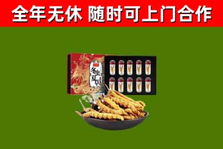 克山县回收冬虫夏草价格